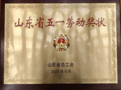 喜报丨热烈庆祝星空真人机械荣获“山东省五一劳动奖状”