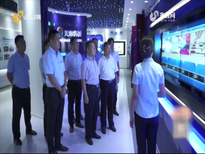 省派民营企业高质量发展服务队助推星空真人发展